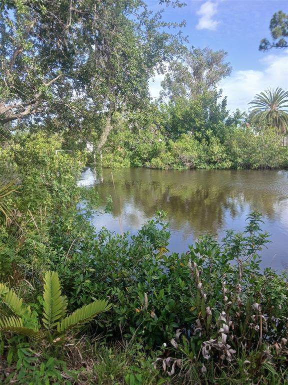 A view of a calm pond surrounded by dense green trees and lush vegetation — HILOLO LANE, VENICE, FL