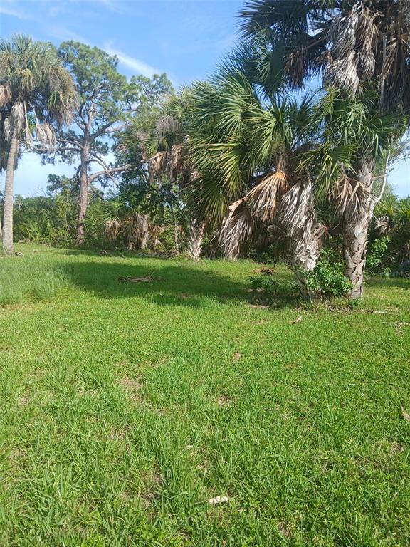 A grassy, sunlit lot features several tall palm trees and dense vegetation under a blue sky — HILOLO LANE, VENICE, FL