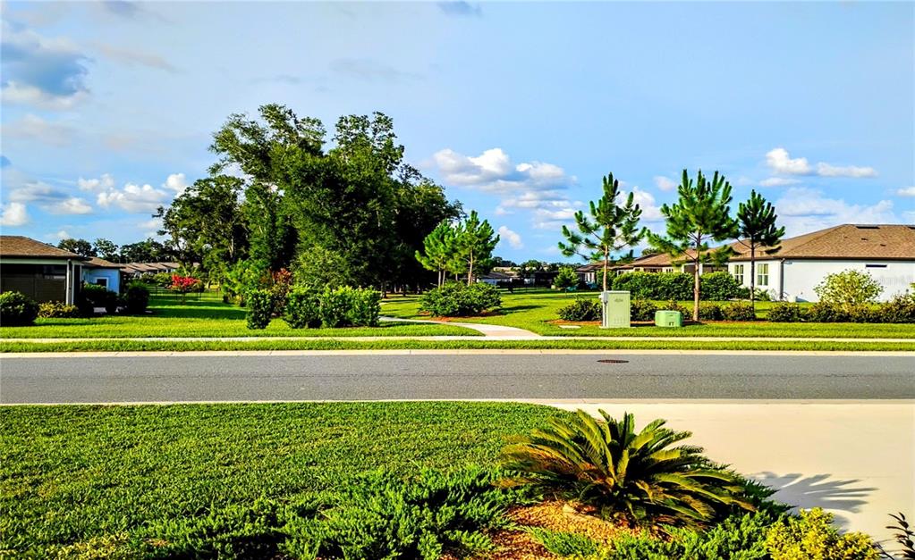 A paved street runs between a grassy foreground and a neighborhood with houses and trees — 8542 SW 55TH STREET ROAD, OCALA, FL