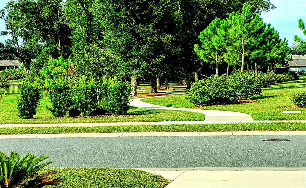 A paved sidewalk winds through a grassy lawn with trees and shrubs in a neighborhood — 8542 SW 55TH STREET ROAD, OCALA, FL
