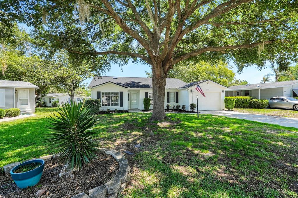 25212 CLIFFORD HILL