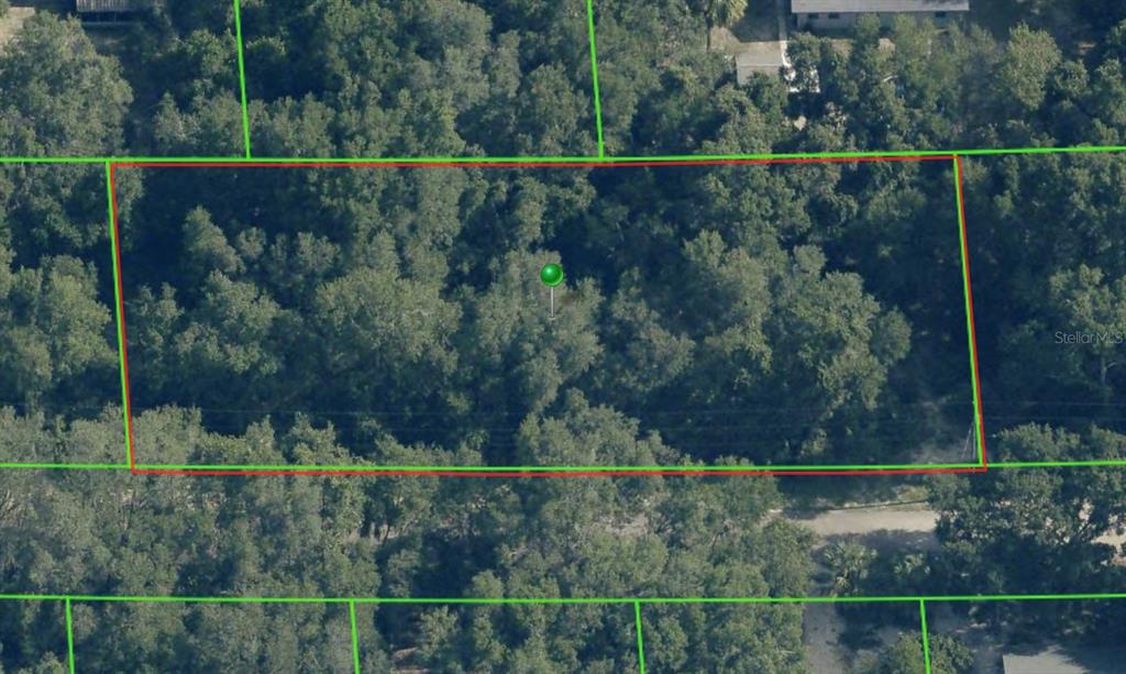 An aerial view shows a rectangular, tree-covered vacant lot outlined in red — 4053 E GRANT STREET, INVERNESS, FL