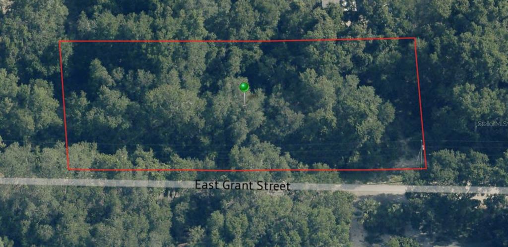 An aerial view shows a rectangular, wooded lot outlined in red along a paved road — 4053 E GRANT STREET, INVERNESS, FL