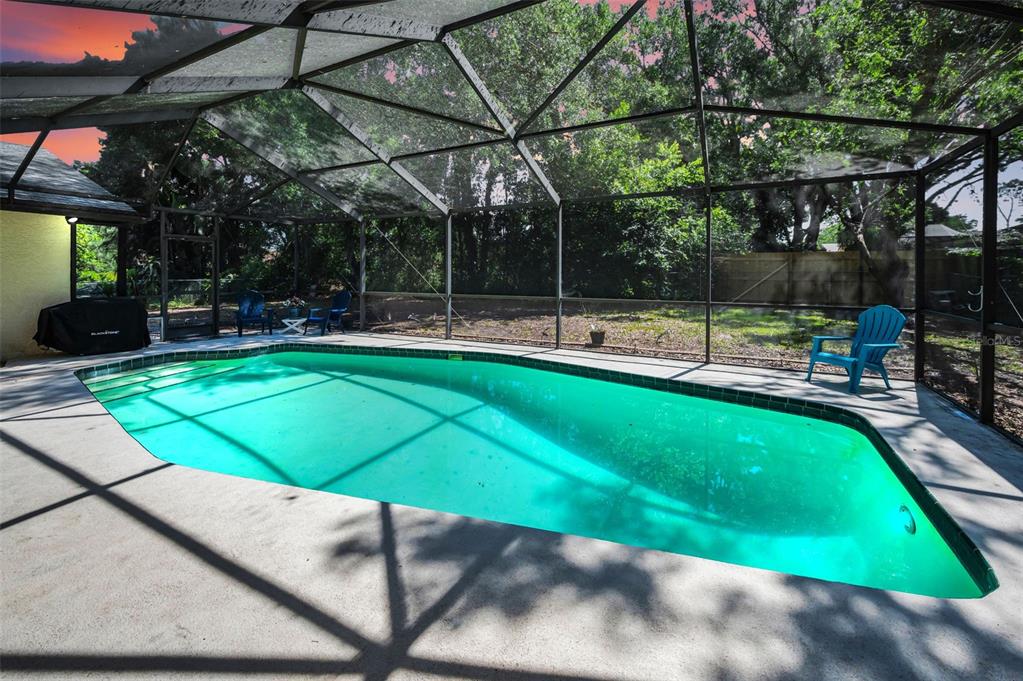 A swimming pool sits inside a screened-in patio enclosure with a concrete deck — 520 SANDY HOOK ROAD, PALM HARBOR, FL