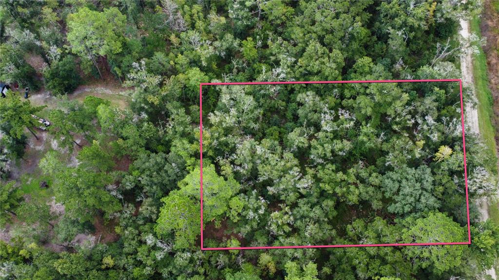 4730 PALATKA BOULEVARD, HASTINGS, FL — photo 2 of 6