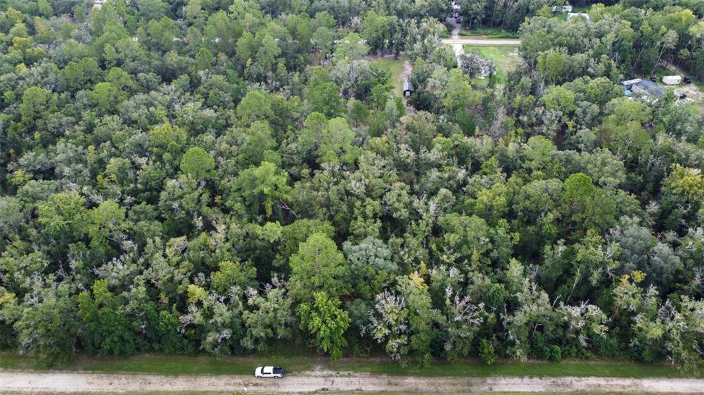 4730 PALATKA BOULEVARD, HASTINGS, FL — photo 5 of 6