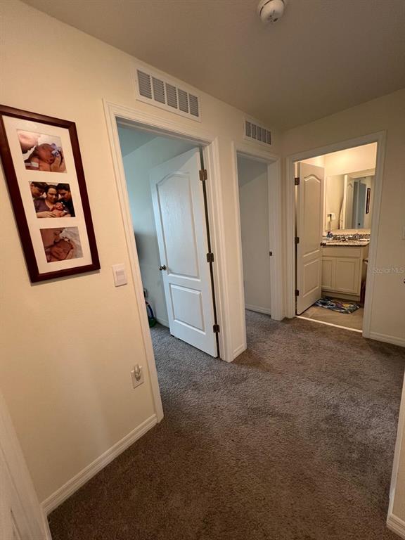 A carpeted hallway leads to two closed doors and an open bathroom with a vanity — 2755 BRIE HAMMOCK BEND, HARMONY, FL