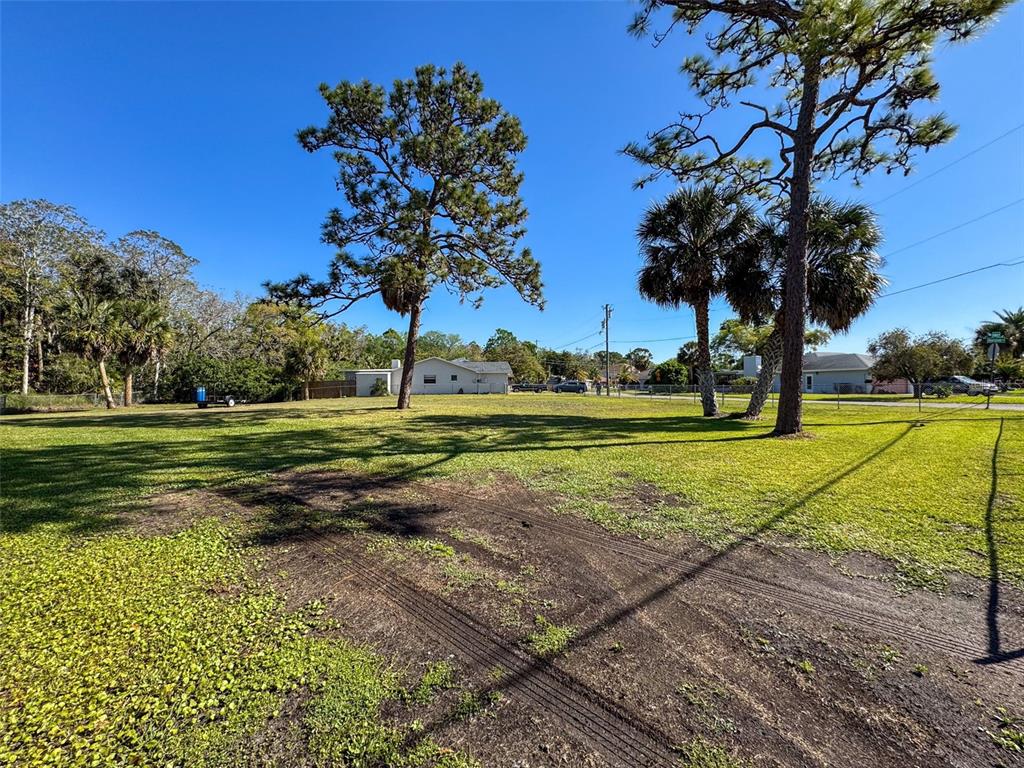 A large, grassy vacant lot features several tall pine and palm trees under a clear sky — INDIES DRIVE, HUDSON, FL