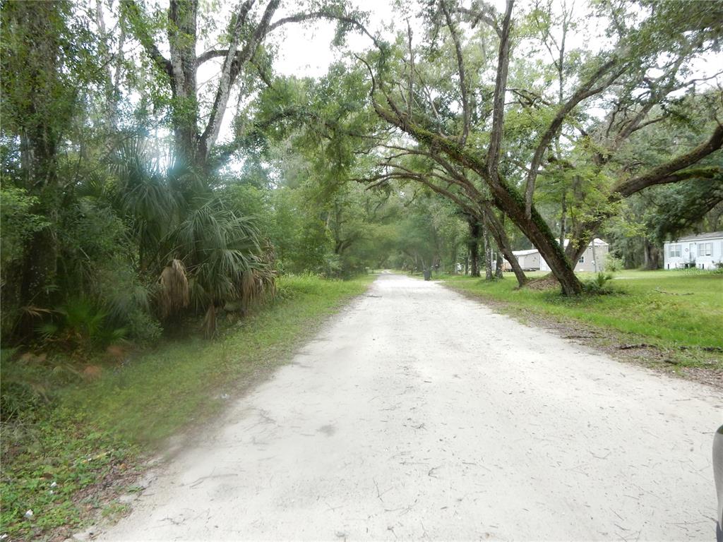 A dirt road winds through a wooded area with trees and nearby residential structures — CENTRAL AVENUE, ZEPHYRHILLS, FL