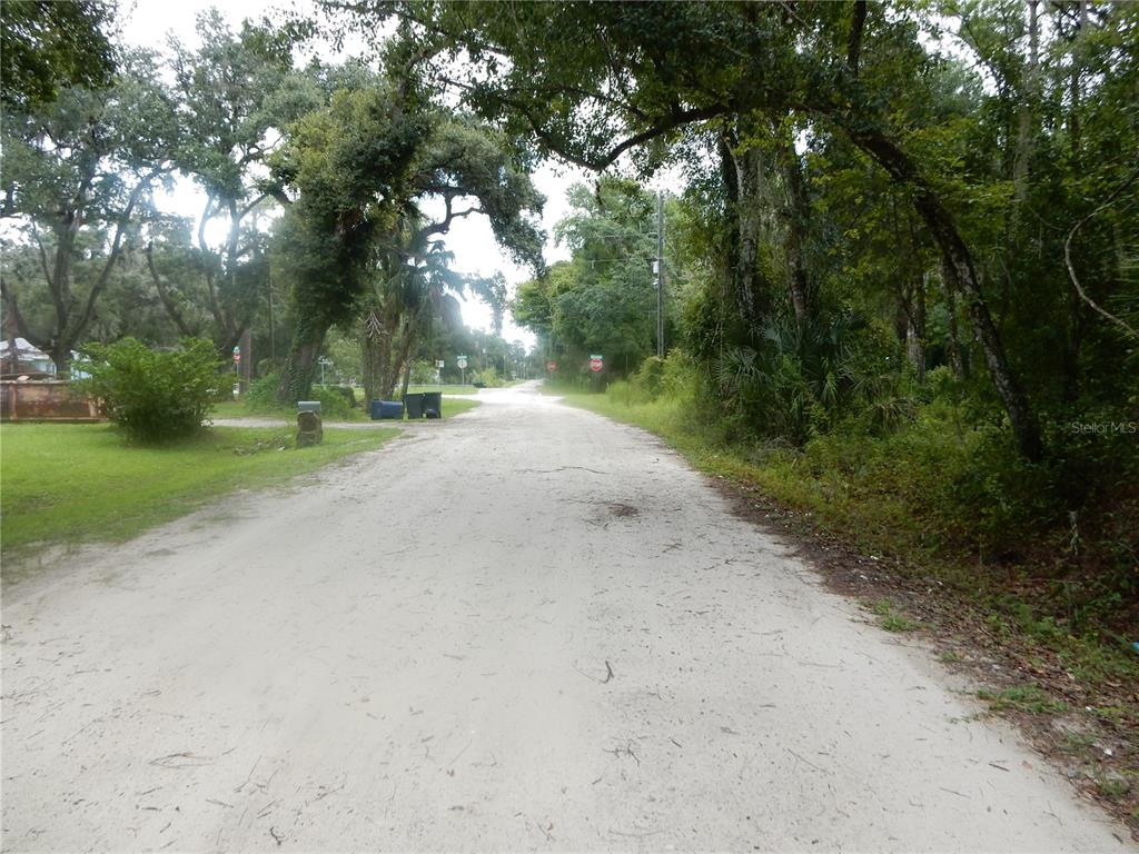 A sandy, unpaved road winds through a wooded residential area with mature trees — CENTRAL AVENUE, ZEPHYRHILLS, FL