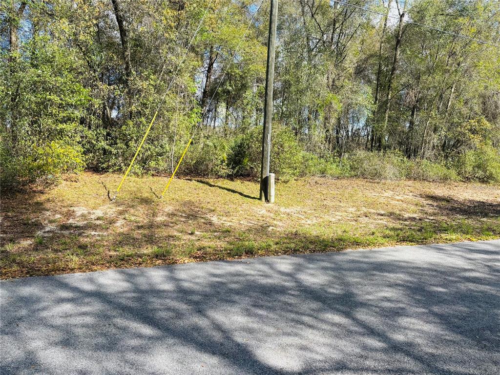A utility pole stands on a grassy, wooded lot next to an asphalt road — 0 SW 19TH AVE ROAD UNIT 3, OCALA, FL