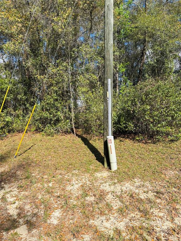 A utility pole with a conduit and a ground-level electrical box stands in a wooded area — 0 SW 19TH AVE ROAD UNIT 3, OCALA, FL