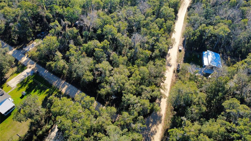 An aerial view shows a dirt road intersecting a wooded area with two small houses — 110 LEEWARD ROAD, SATSUMA, FL
