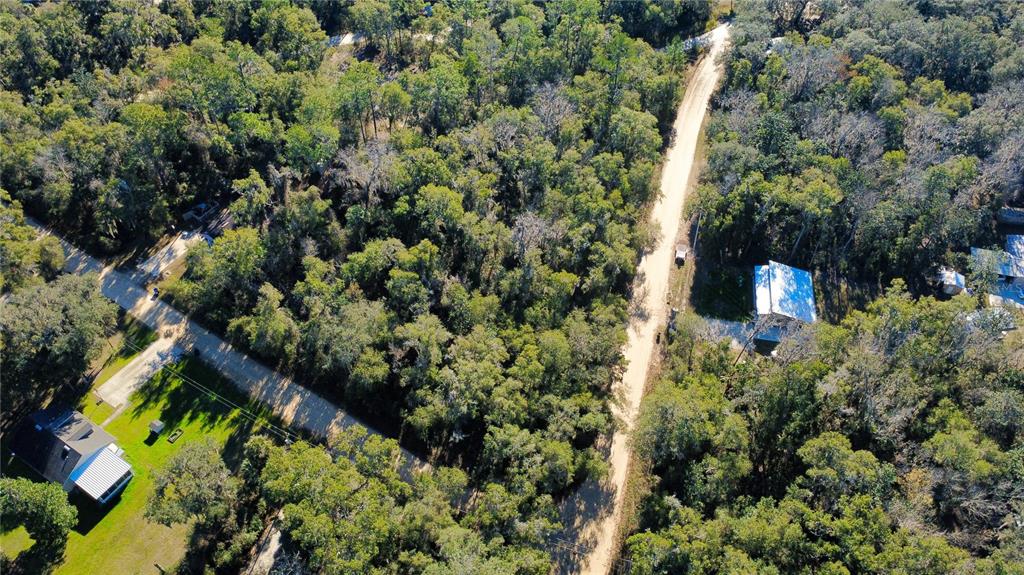 An aerial view shows a dirt road winding through a dense, wooded residential area — 110 LEEWARD ROAD, SATSUMA, FL