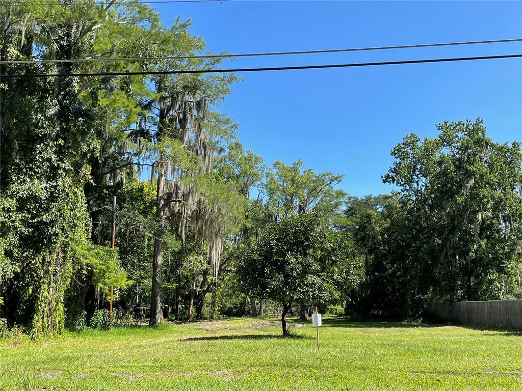 A grassy, vacant lot features a single tree in the center and dense surrounding woods — 16415 BEARLE ROAD, ORLANDO, FL