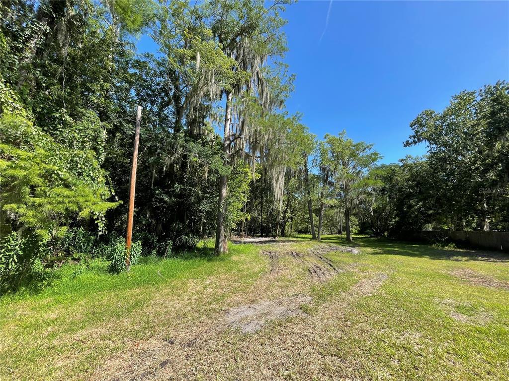 A grassy, partially cleared lot features tall trees with Spanish moss under a clear blue sky — 16415 BEARLE ROAD, ORLANDO, FL