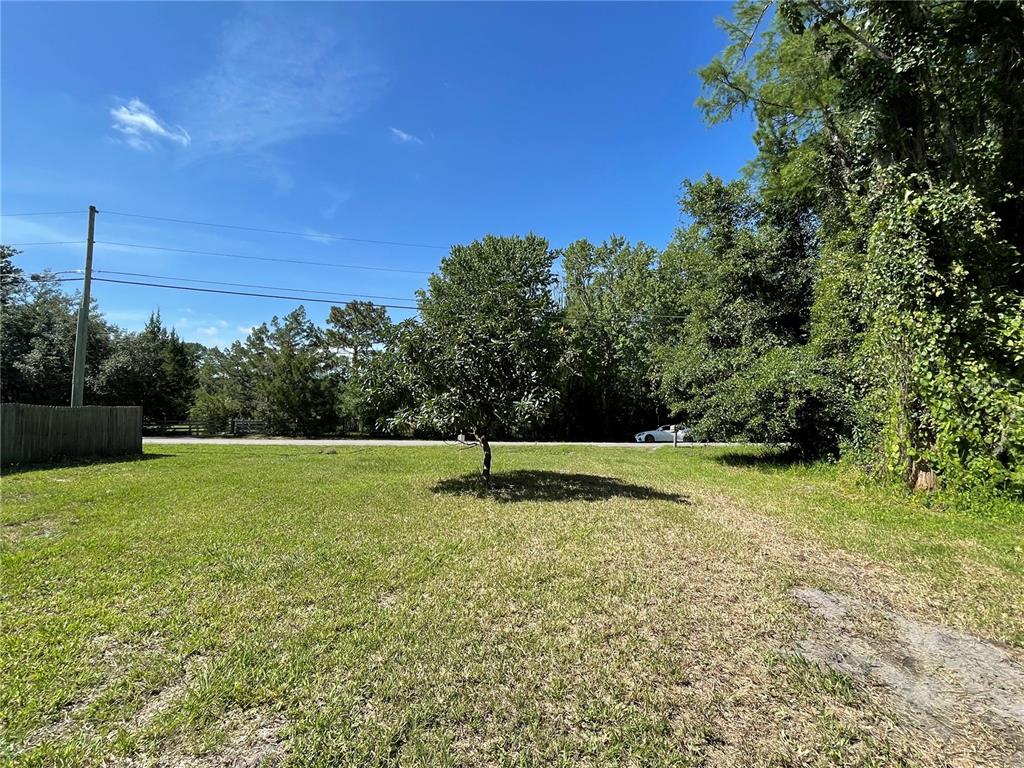 A grassy lot features a single tree in the center with trees and a road behind — 16415 BEARLE ROAD, ORLANDO, FL