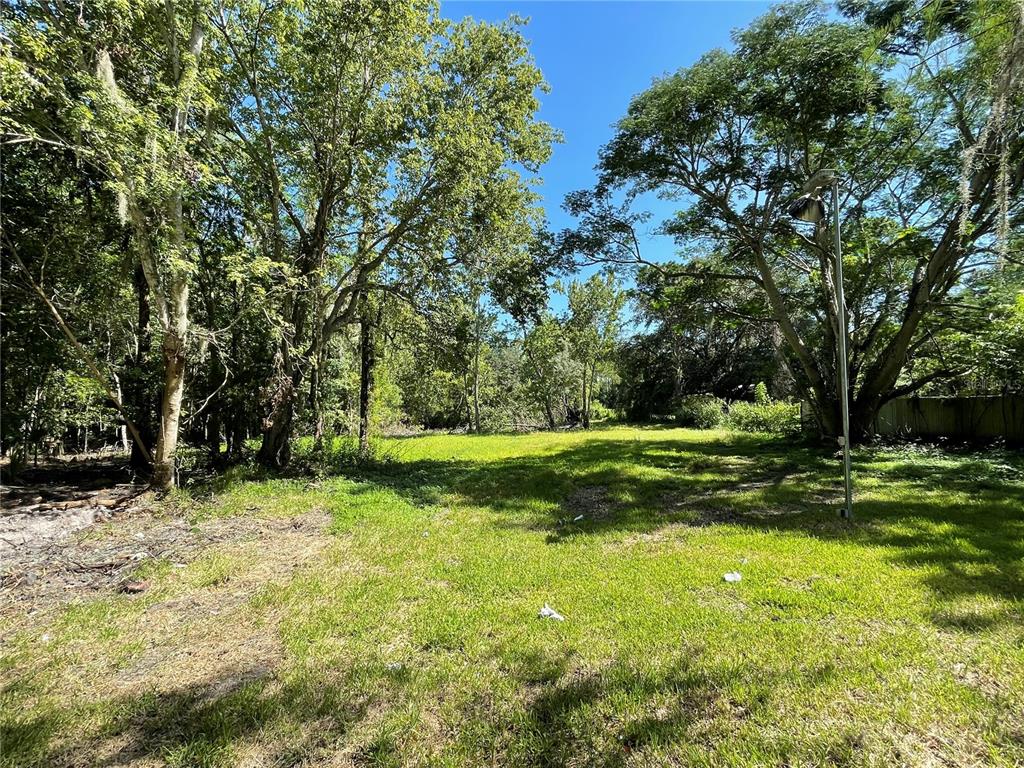 A grassy, sunlit lot surrounded by mature trees and a utility pole on the right — 16415 BEARLE ROAD, ORLANDO, FL