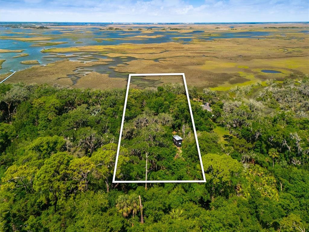 An aerial view shows a wooded lot with a small structure outlined in white — 10474 SALT MARSH TRAIL, JACKSONVILLE, FL