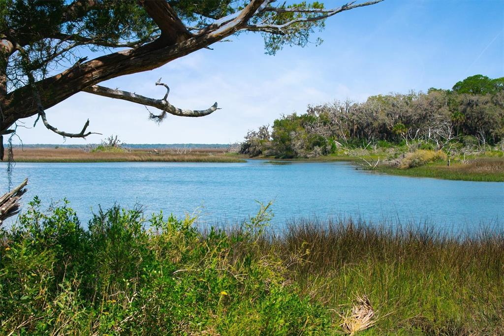 A scenic view of a calm river winding through marshland with trees and blue sky — 10474 SALT MARSH TRAIL, JACKSONVILLE, FL