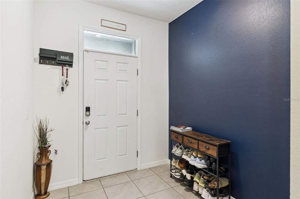 An entryway features a white front door, a navy accent wall, and a shoe rack — 3349 PLEASANT WILLOW COURT, BRANDON, FL