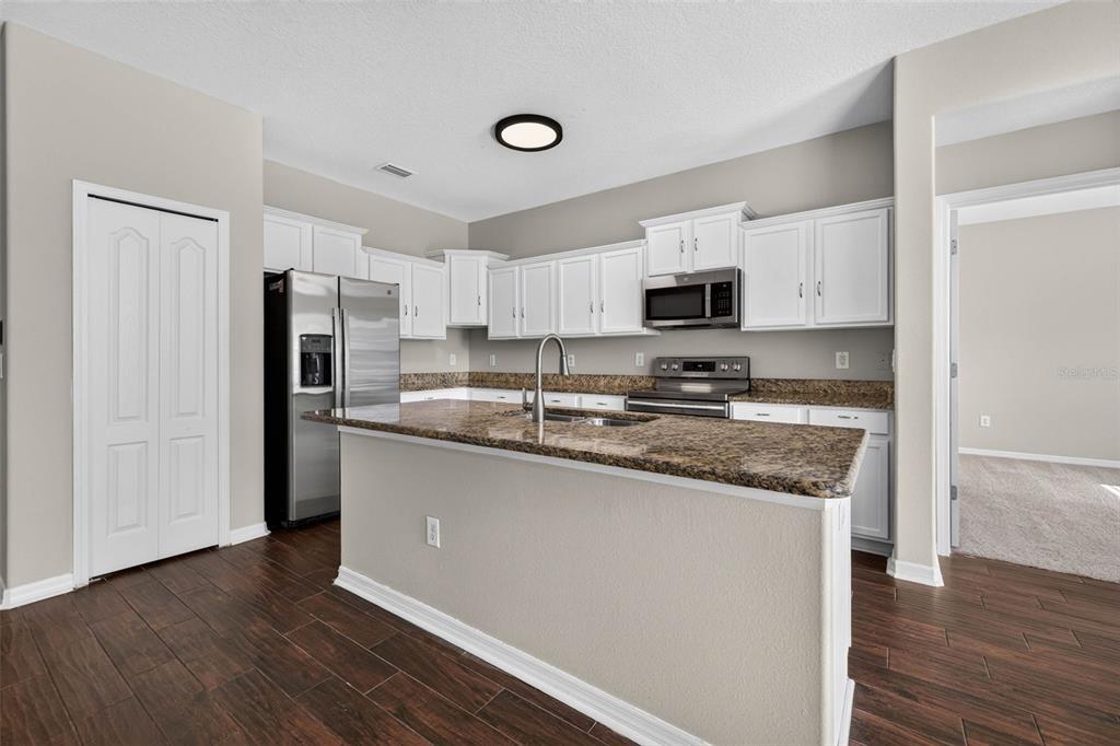 A kitchen features white cabinets, granite countertops, stainless steel appliances, and dark wood-look flooring — 14013 HOLLOW LEAF PLACE, RIVERVIEW, FL