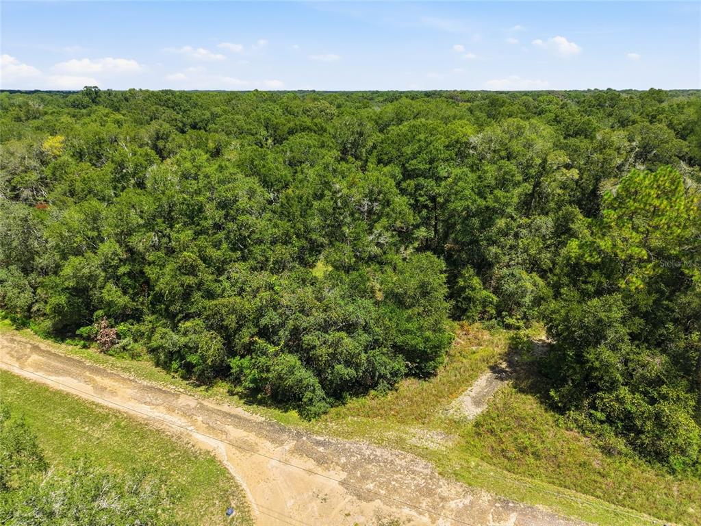 Lot 11 NW 164TH STREET, FANNING SPRINGS, FL — photo 2 of 9