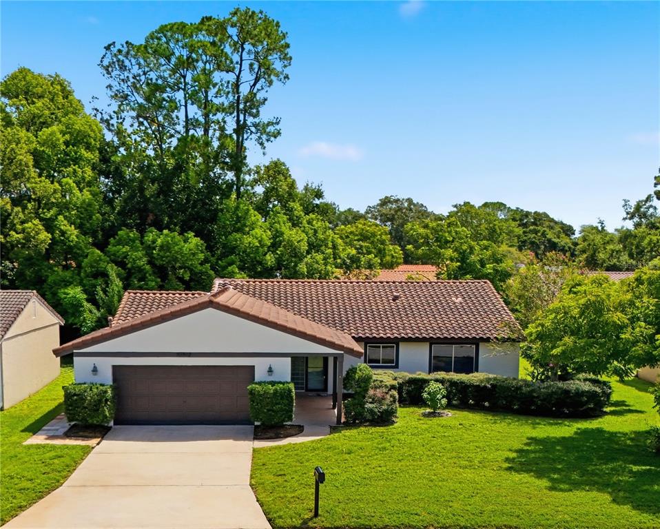 10702 WILLIAM TELL DRIVE