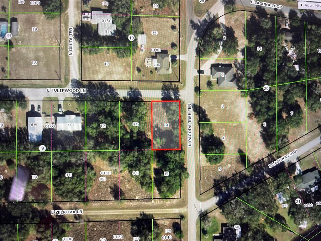 This is an aerial map showing a highlighted vacant lot in a residential neighborhood — 3798 E TULIPWOOD LANE, HERNANDO, FL