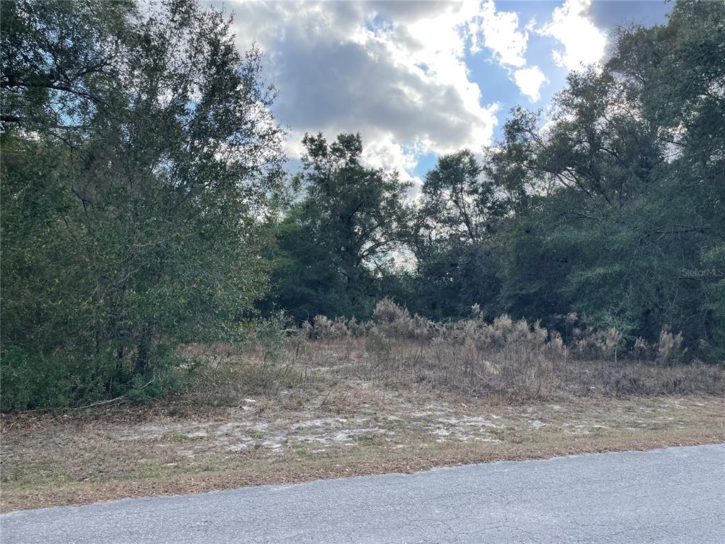 A vacant, wooded lot sits behind a paved road under a cloudy sky — 3798 E TULIPWOOD LANE, HERNANDO, FL