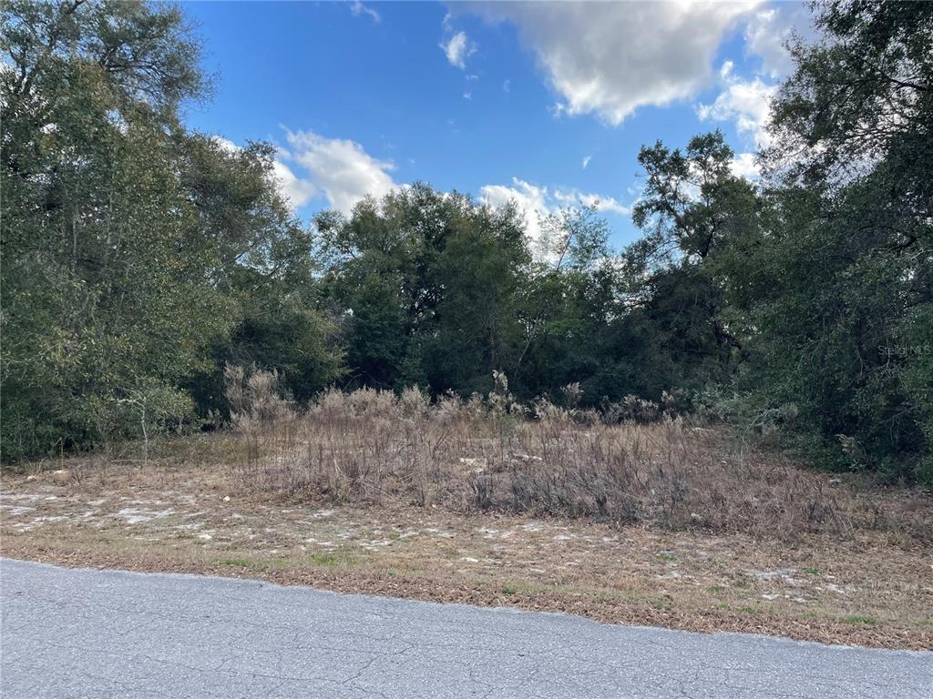 A vacant, grassy lot with scattered brush is bordered by a dense line of trees — 3798 E TULIPWOOD LANE, HERNANDO, FL