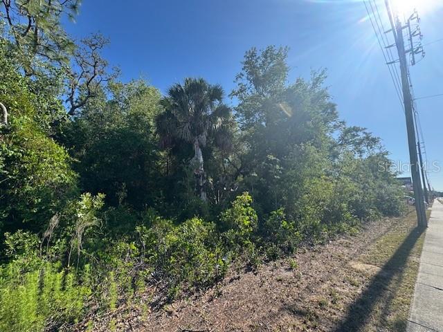 A dense, wooded lot borders a paved sidewalk under a bright, sunny sky — 10331 STATE ROAD 52, HUDSON, FL