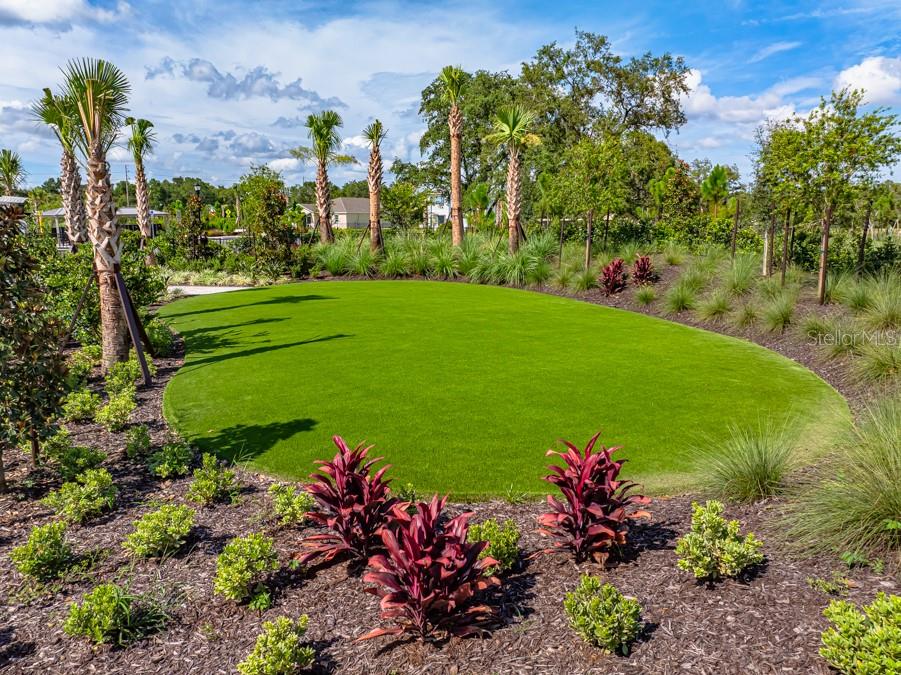 A landscaped lawn with palm trees and red-leafed plants in a garden setting — 13721 SQUALL LANE, HUDSON, FL