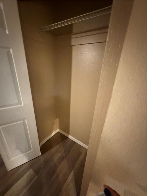 A small walk-in closet with beige walls, wood-look flooring, and a single wire shelf — 410 W HOWRY AVENUE UNIT D, DELAND, FL