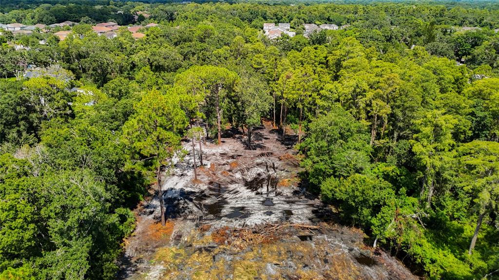 An aerial view shows a cleared, sandy lot surrounded by dense green forest and homes — ANNO STREET, TAMPA, FL