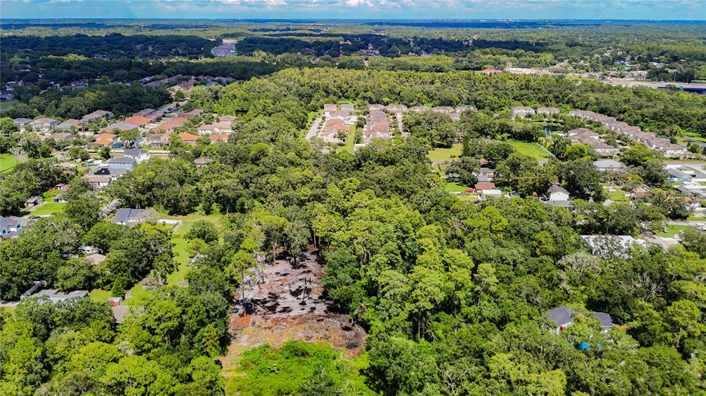 An aerial view shows a cleared lot surrounded by dense trees and nearby residential neighborhoods — ANNO STREET, TAMPA, FL