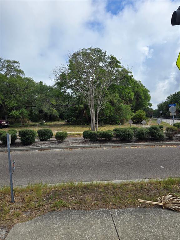 A view of a vacant lot with a large tree and shrubs along the roadside — 000 MARSHALL STREET, CLEARWATER, FL