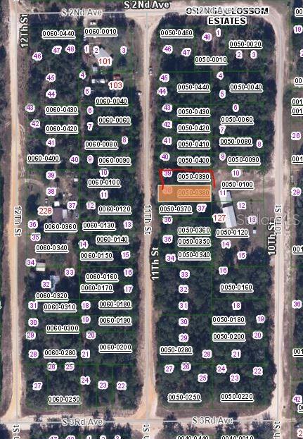 This is a map showing property parcel boundaries and lot numbers in a residential area — 00 11TH STREET, INTERLACHEN, FL