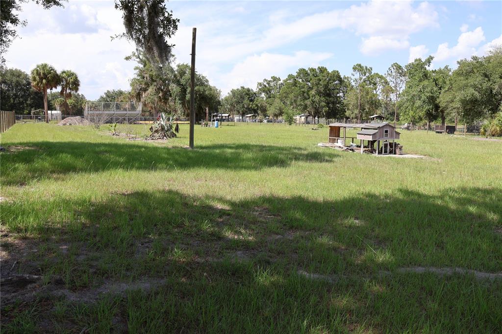 A grassy backyard features a chicken coop, a utility pole, and a distant metal fence — 699 BAKER STREET, WAUCHULA, FL