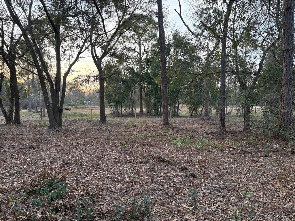A metal farm gate is installed between two wooden posts at the edge of woods — ALTURAS BABSON PARK CUTOFF ROAD, BARTOW, FL