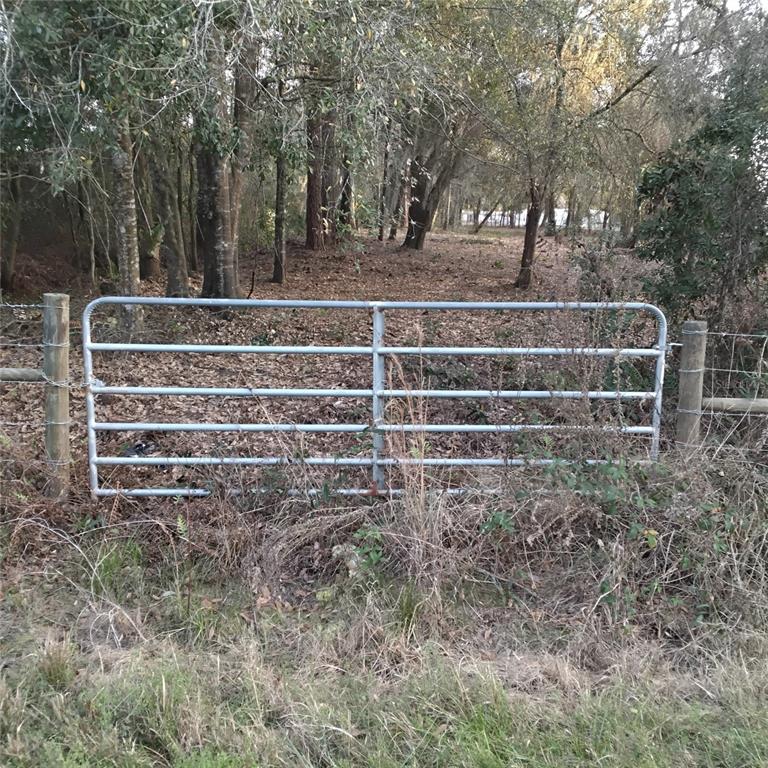 A paved road runs alongside a grassy shoulder and a wooded area with utility poles — ALTURAS BABSON PARK CUTOFF ROAD, BARTOW, FL