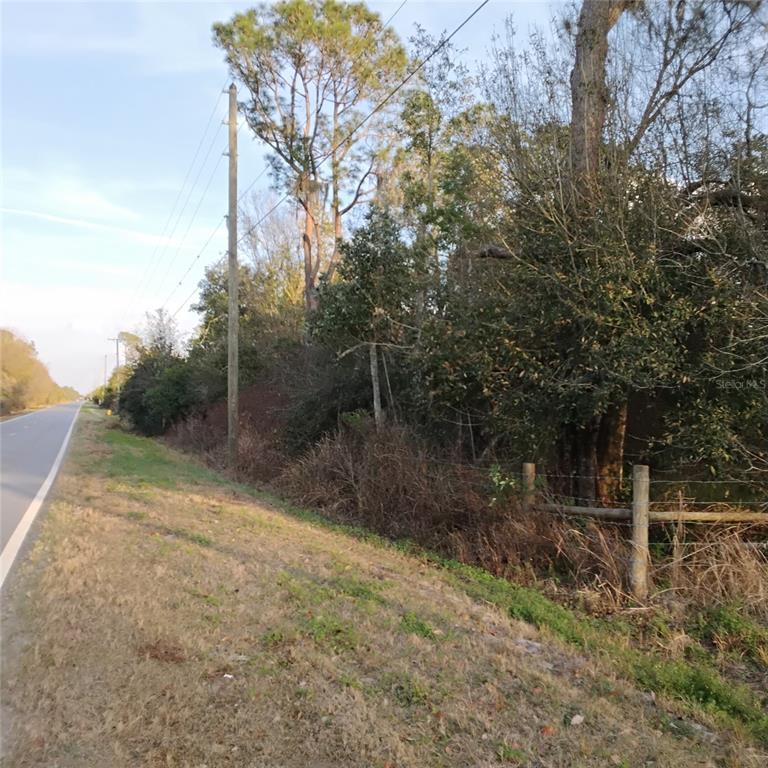 A wire fence stands at the edge of a wooded area covered in fallen leaves — ALTURAS BABSON PARK CUTOFF ROAD, BARTOW, FL