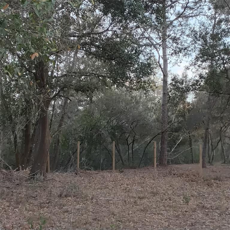This is a map showing the rectangular property boundaries and dimensions of a land parcel — ALTURAS BABSON PARK CUTOFF ROAD, BARTOW, FL