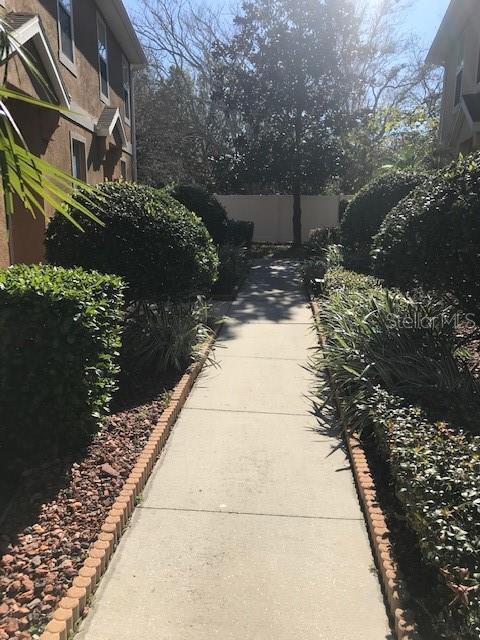 A concrete walkway leads between two residential buildings lined with manicured shrubs and landscaping — 7708 RED MILL CIRCLE, NEW PORT RICHEY, FL