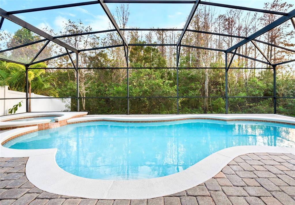 A screened-in patio features a swimming pool, a spa, and paver flooring — 2555 SAND ARBOR CIRCLE, ORLANDO, FL