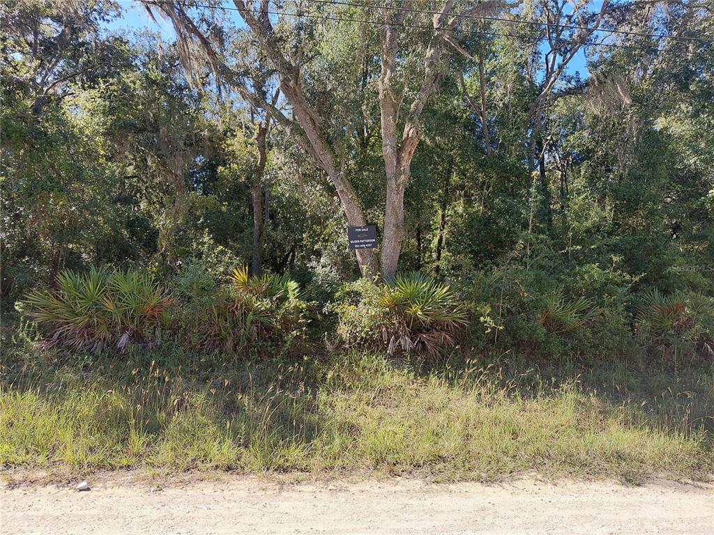 BUTTERNUT DRIVE, WEBSTER, FL — photo 4 of 15