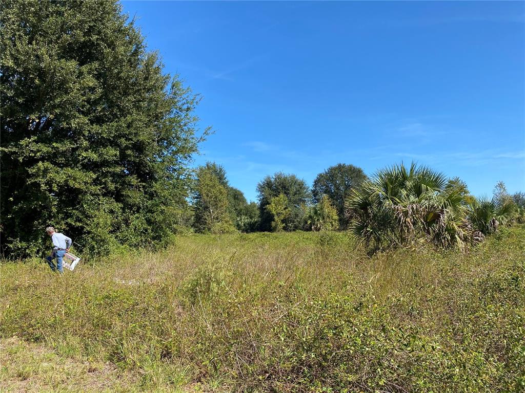 A person walks through a grassy, overgrown lot bordered by trees and palm bushes — xxxx NE 3RD CT, CITRA, FL