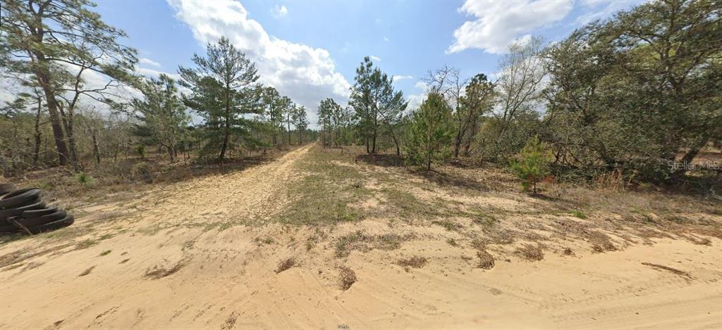 A dirt path leads through a wooded, undeveloped lot with sandy ground and scattered trees — 228 ROME AVE, INTERLACHEN, FL