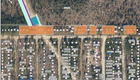 This is a map showing residential lots and streets in a wooded area — 228 ROME AVE, INTERLACHEN, FL