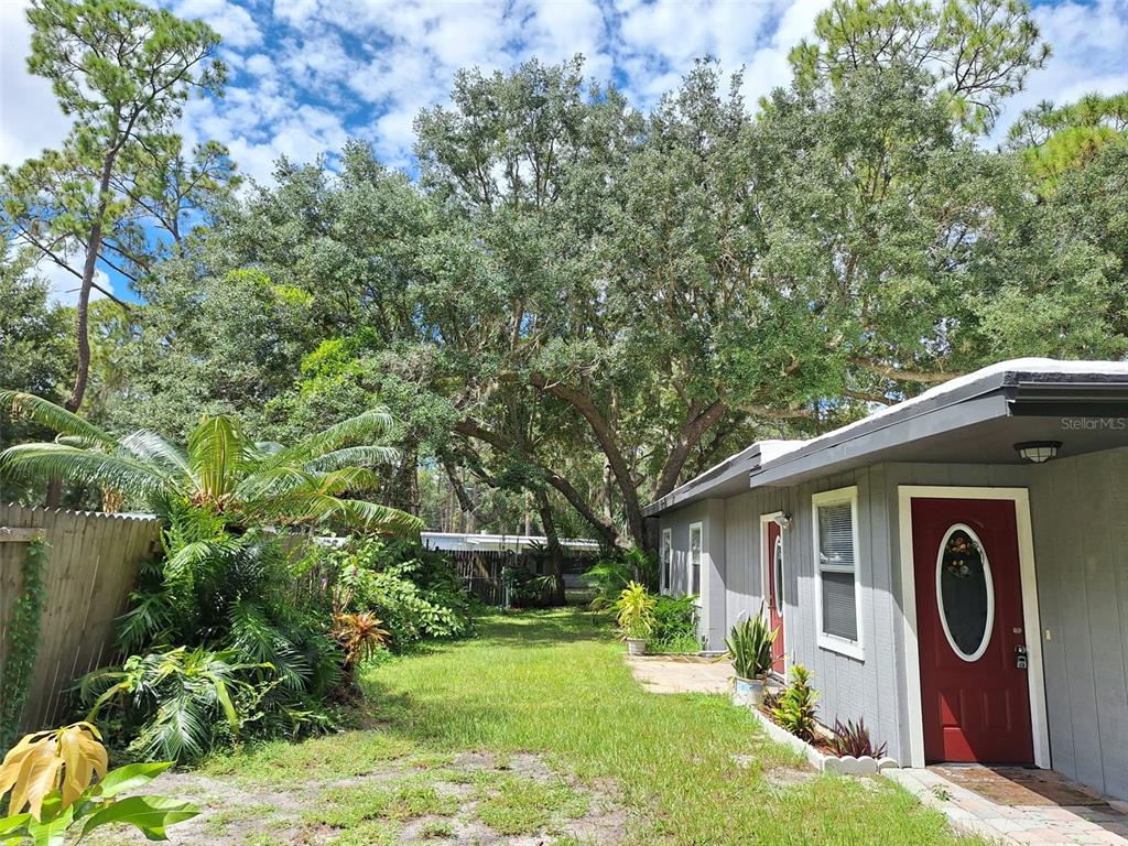 A large, sandy, tree-shaded lot features a wooden fence and distant small structures — 1257 LYNCHBURG ROAD, LAKE ALFRED, FL